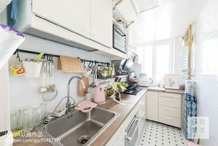 酒店廚房用品大全清單及其在自然科學(xué)研究中的應(yīng)用介紹